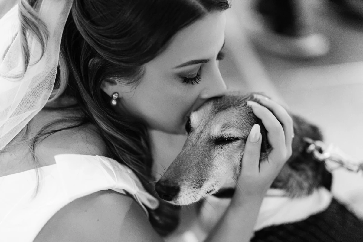 Bride with her dog, black and white